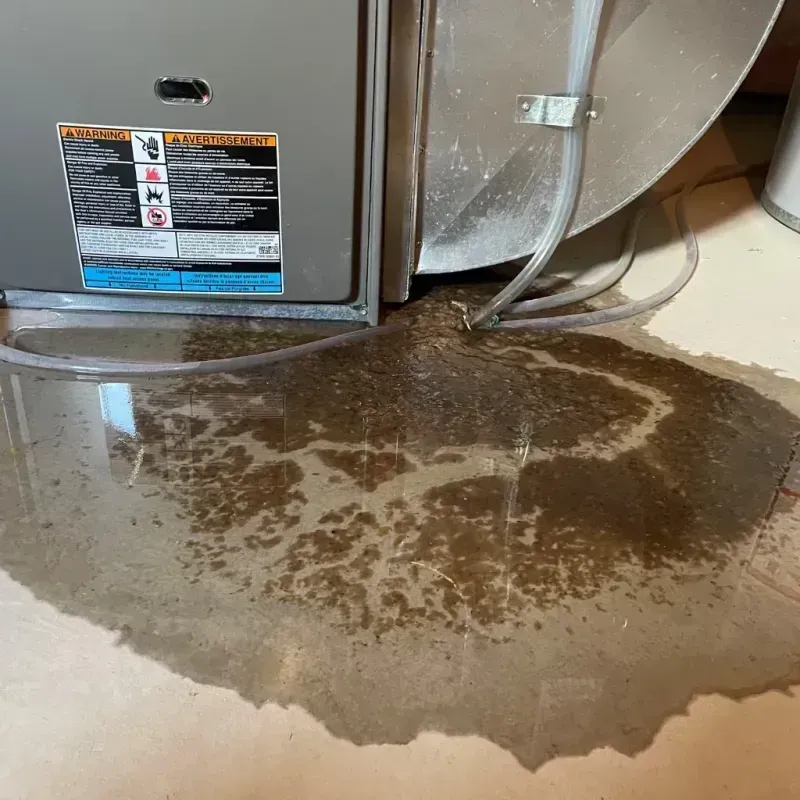 Appliance Leak Cleanup in Saint Clair, PA